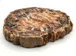 Load image into Gallery viewer, Petrified Wood Slabs
