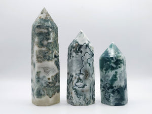 Tree Agate Towers