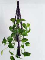 Load image into Gallery viewer, Macrame Hanger • Style 2
