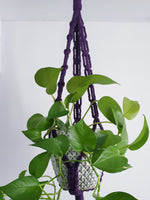 Load image into Gallery viewer, Macrame Hanger • Style 2
