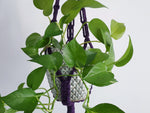 Load image into Gallery viewer, Macrame Hanger • Style 2
