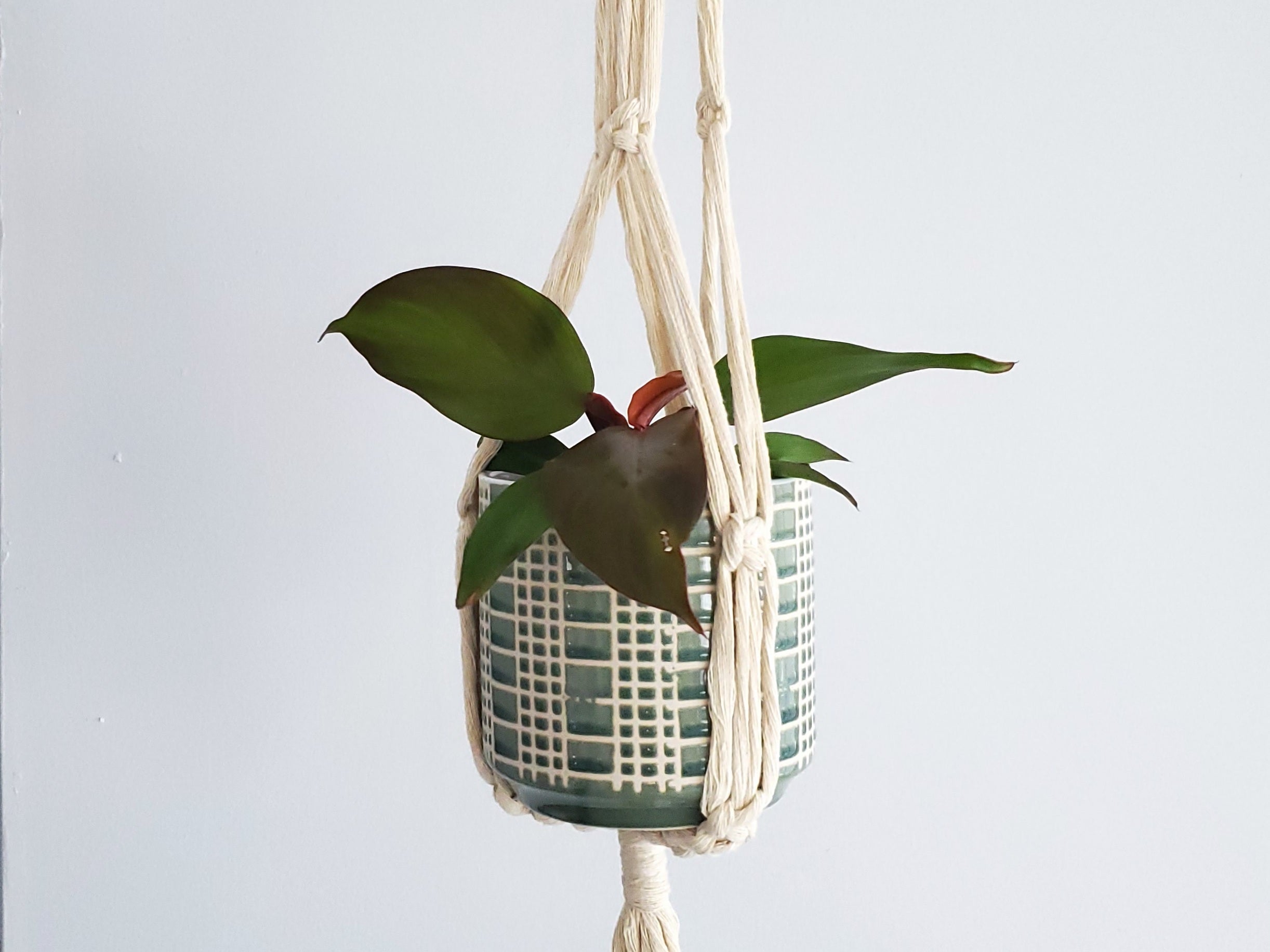 Macrame Hanger • Style 1