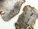 Load image into Gallery viewer, Marcasite Plume Agate Slabs
