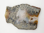 Load image into Gallery viewer, Marcasite Plume Agate Slabs
