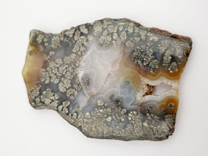 Marcasite Plume Agate Slabs