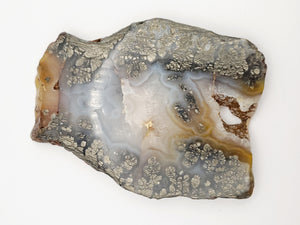 Marcasite Plume Agate Slabs