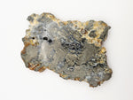 Load image into Gallery viewer, Marcasite Plume Agate Slabs
