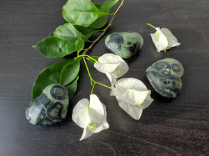 Kambaba Jasper Hearts