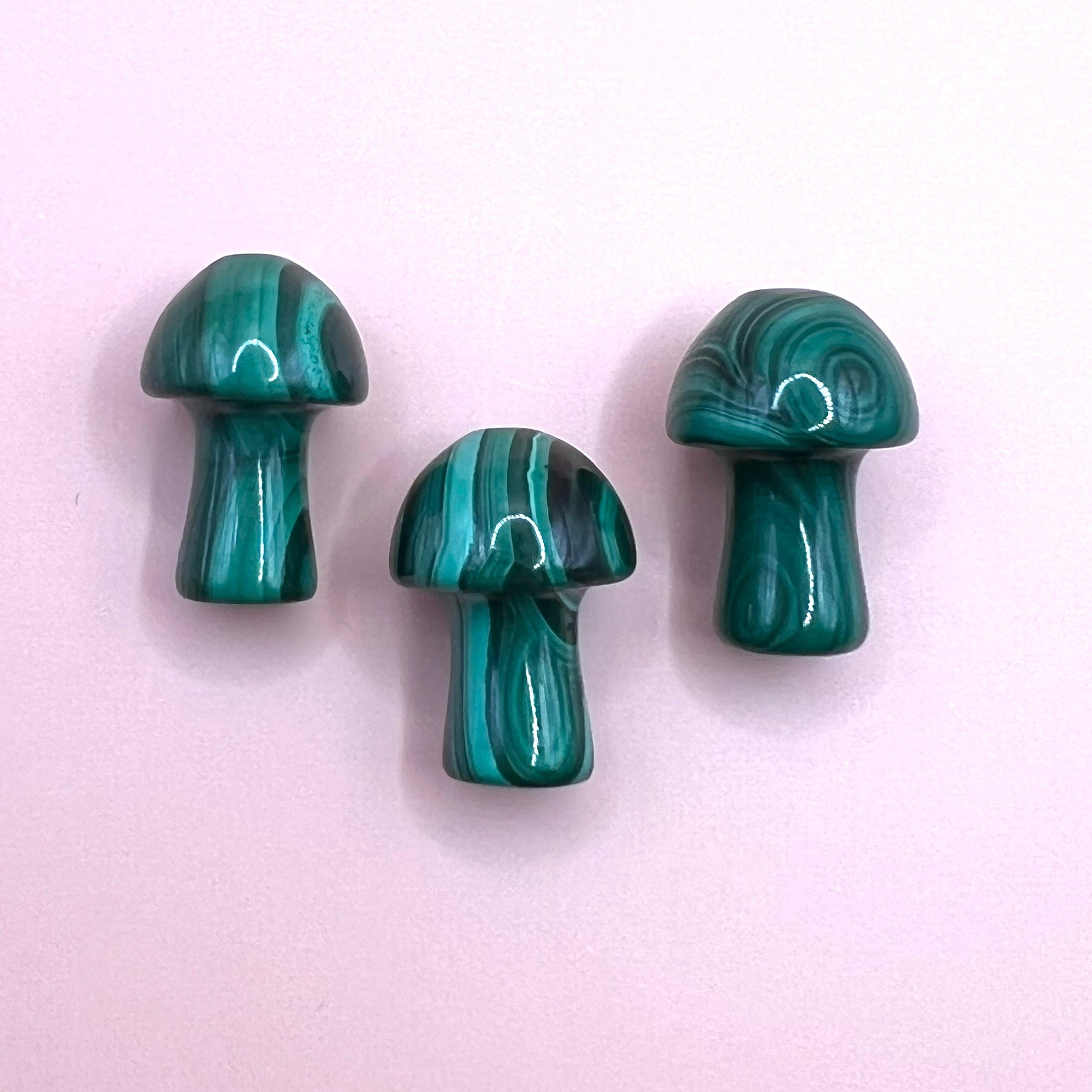 Mini malachite mushrooms