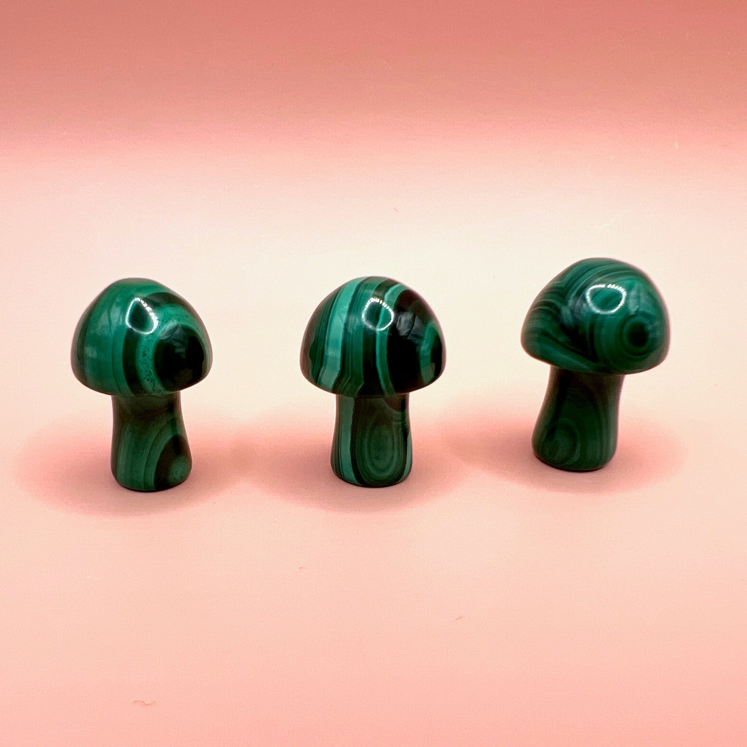 Mini malachite mushrooms