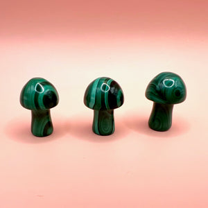 Mini malachite mushrooms