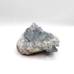Load image into Gallery viewer, Celestite Geodes
