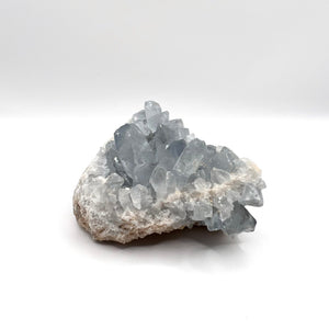 Celestite Geodes